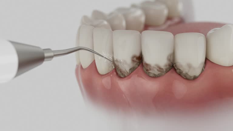 Reliable Dental contractor in Lakin, KS by Dentist Open Now